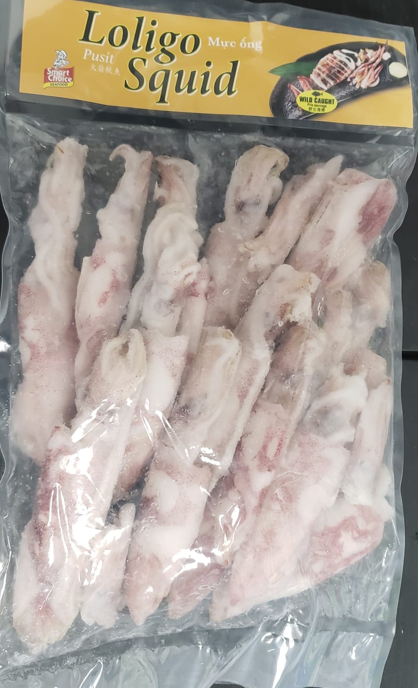Loligo Squid
